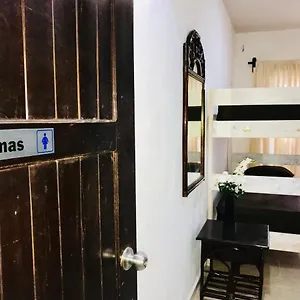 Bunk Bed In Female , Playa del Carmen Mexico